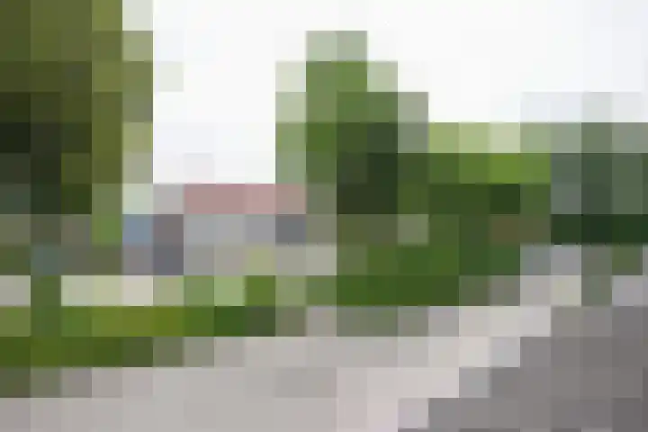 Houtstraat 70 Grevenbicht thumbnail 30