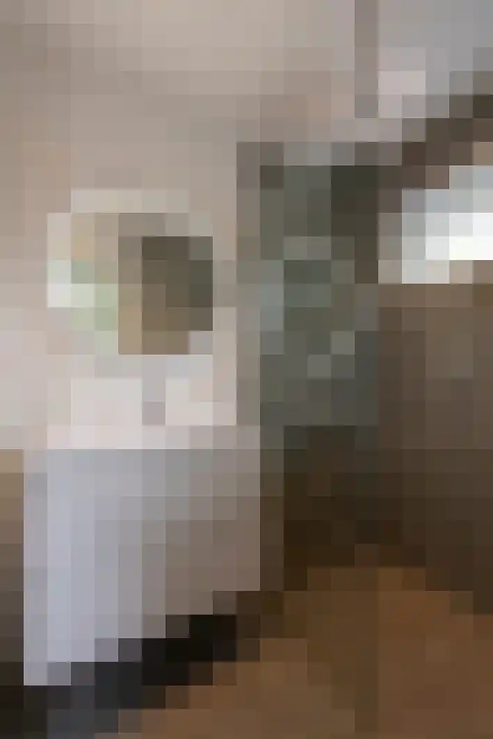 Houtstraat 71 Tilburg thumbnail 23