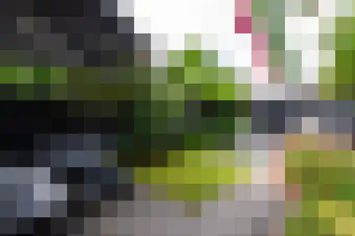 Houtstraat 71 Tilburg thumbnail 35