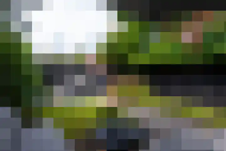 Houtstraat 71 Tilburg thumbnail 36