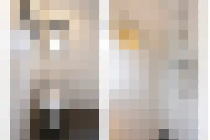 Houtstraat 73 Tilburg thumbnail 21