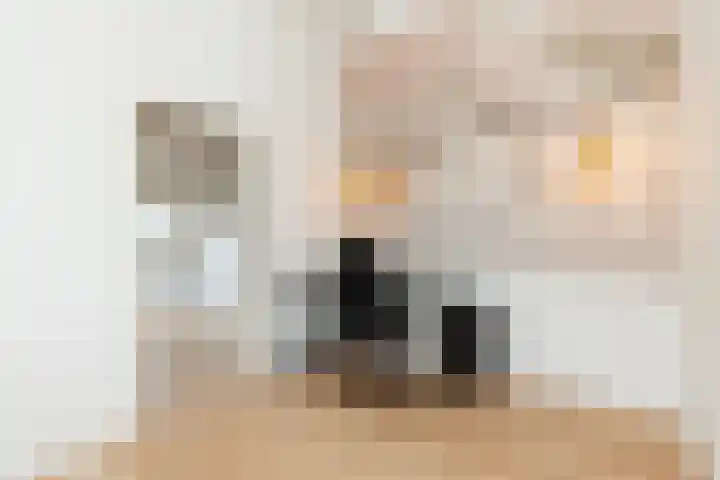 Houtstraat 75 Bergambacht thumbnail 33