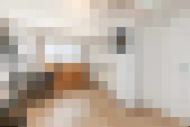 Houtstraat 75 Bergambacht thumbnail 44