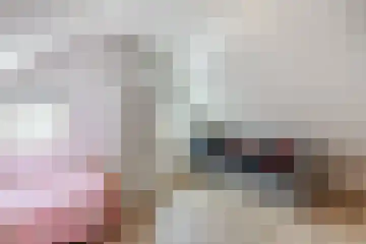 Houtstraat 75 Echt thumbnail 34