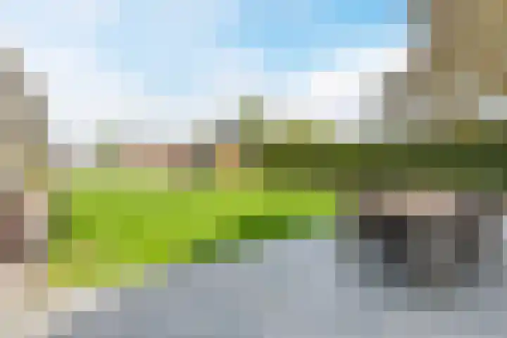 Houtstraat 75 Echt thumbnail 41
