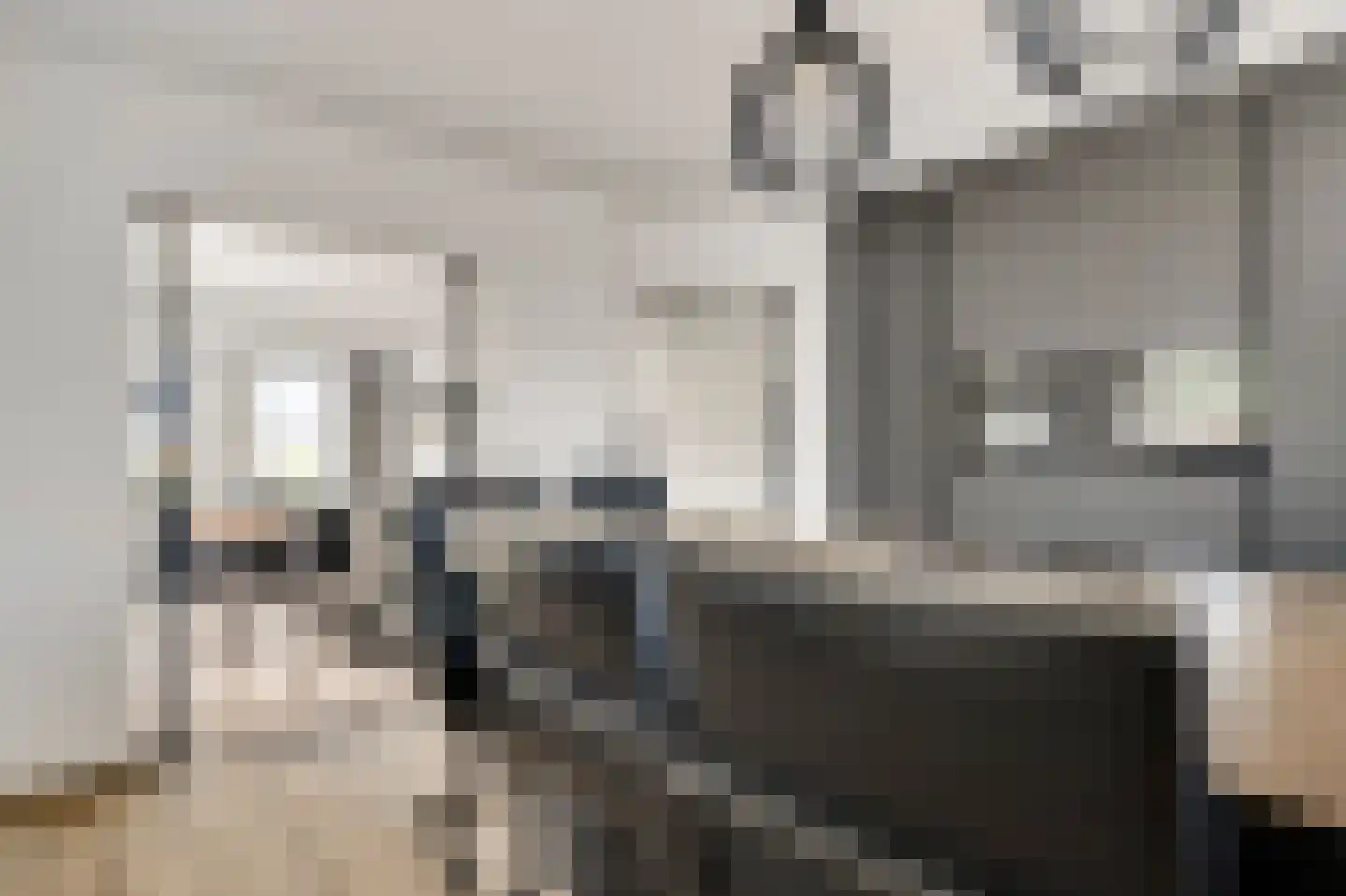 Houtstraat 8 Meterik thumbnail 36