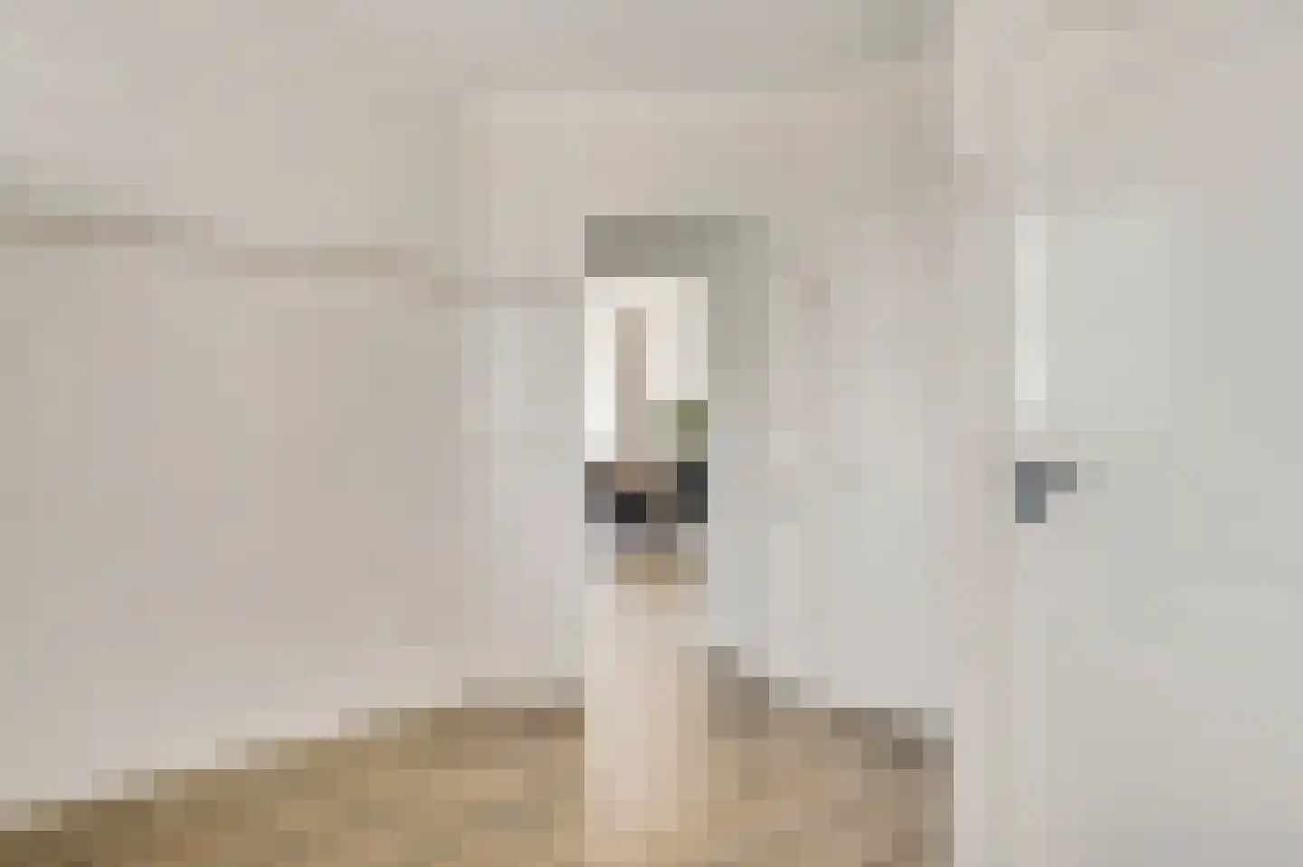Houtstraat 8 Meterik thumbnail 39