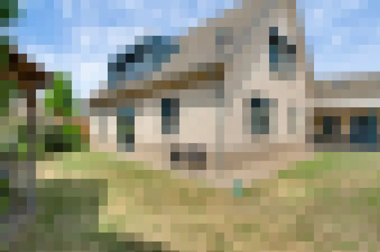 Houtstraat 8 Meterik thumbnail 47