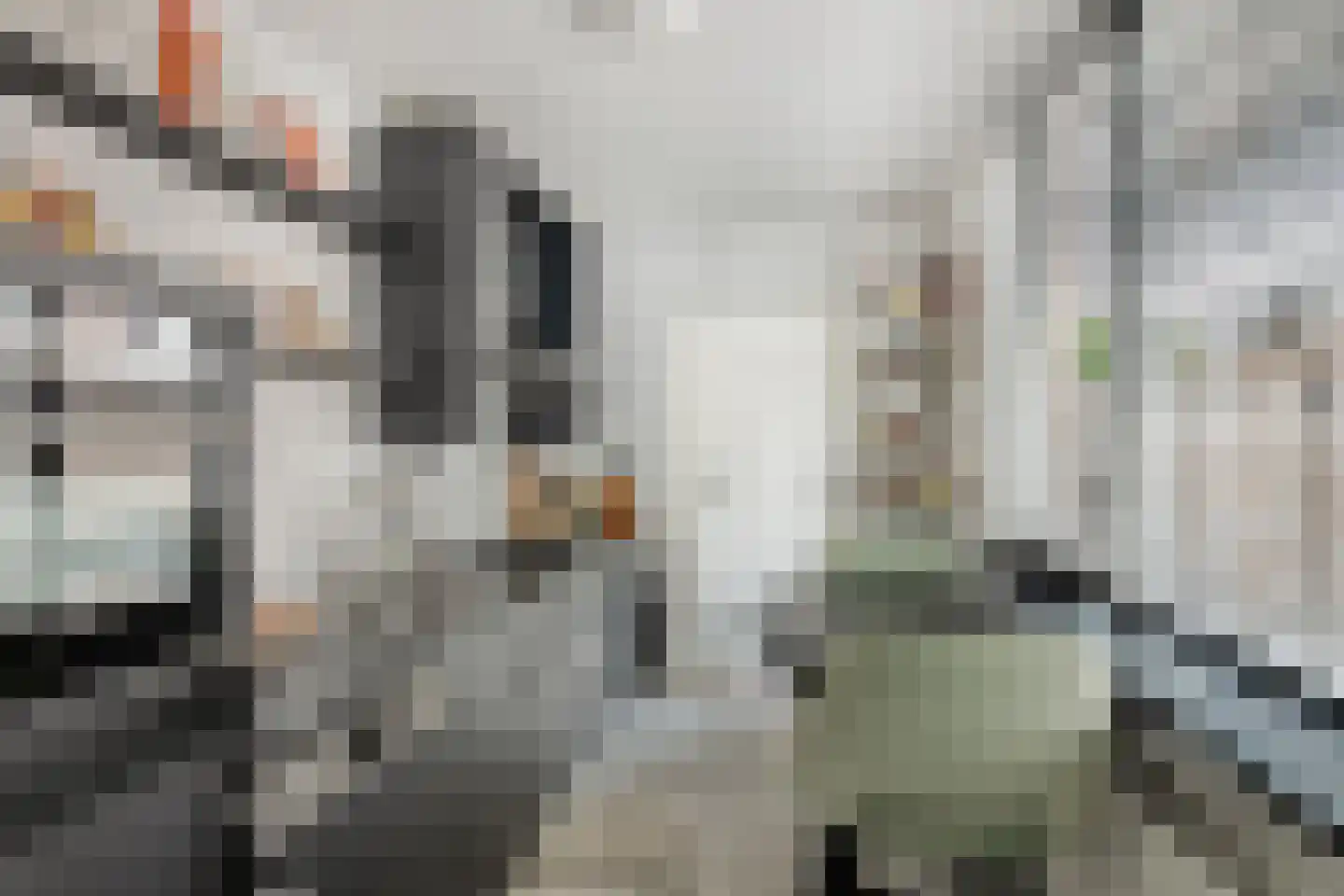 Houtstraat 87 Tilburg thumbnail 11