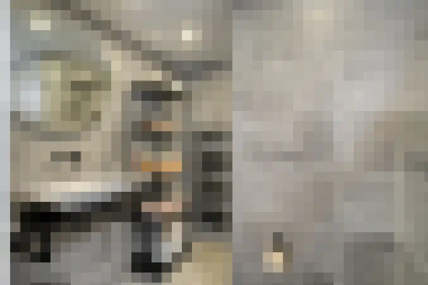 Houtstraat 87 Tilburg thumbnail 14