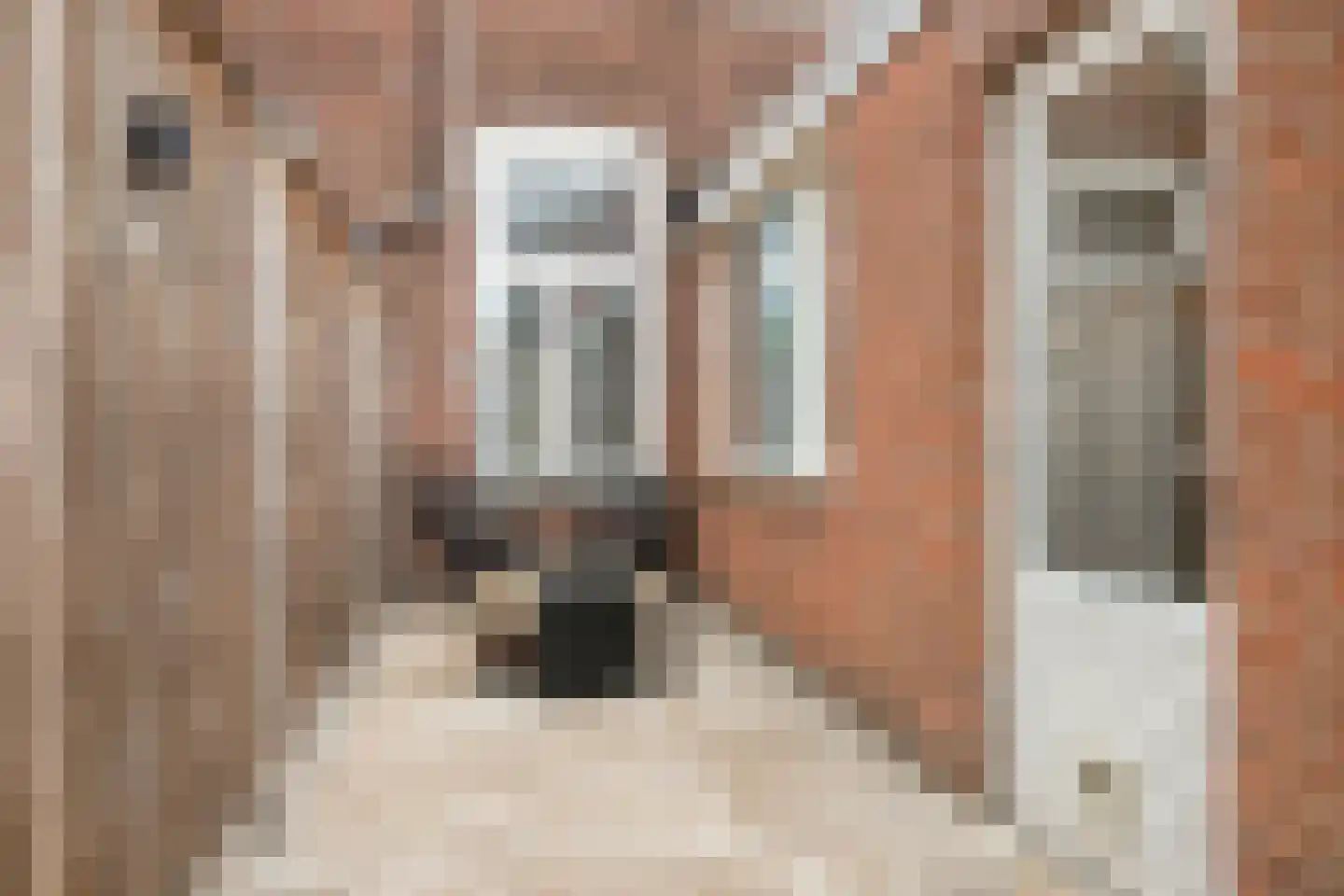 Houtstraat 87 Tilburg thumbnail 26