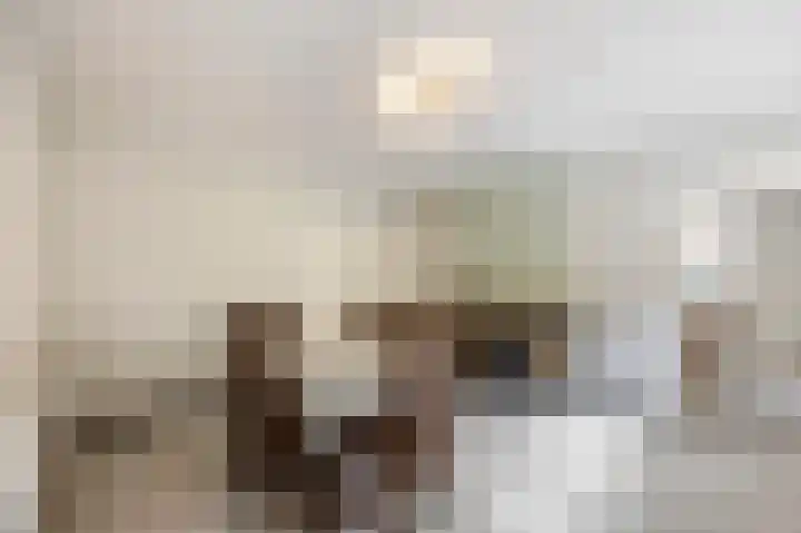 Houtstraat 88 Echt thumbnail 18
