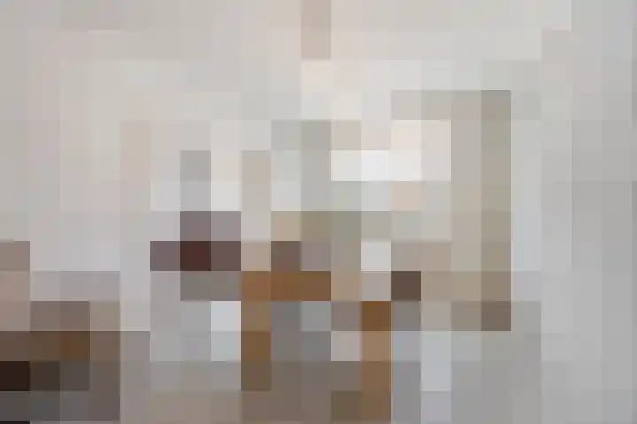Houtstraat 88 Echt thumbnail 7