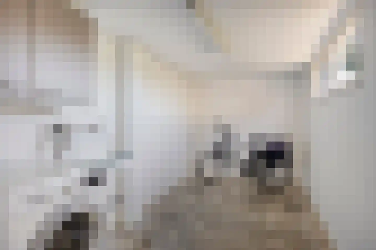Houtstraat 9 Losser thumbnail 16