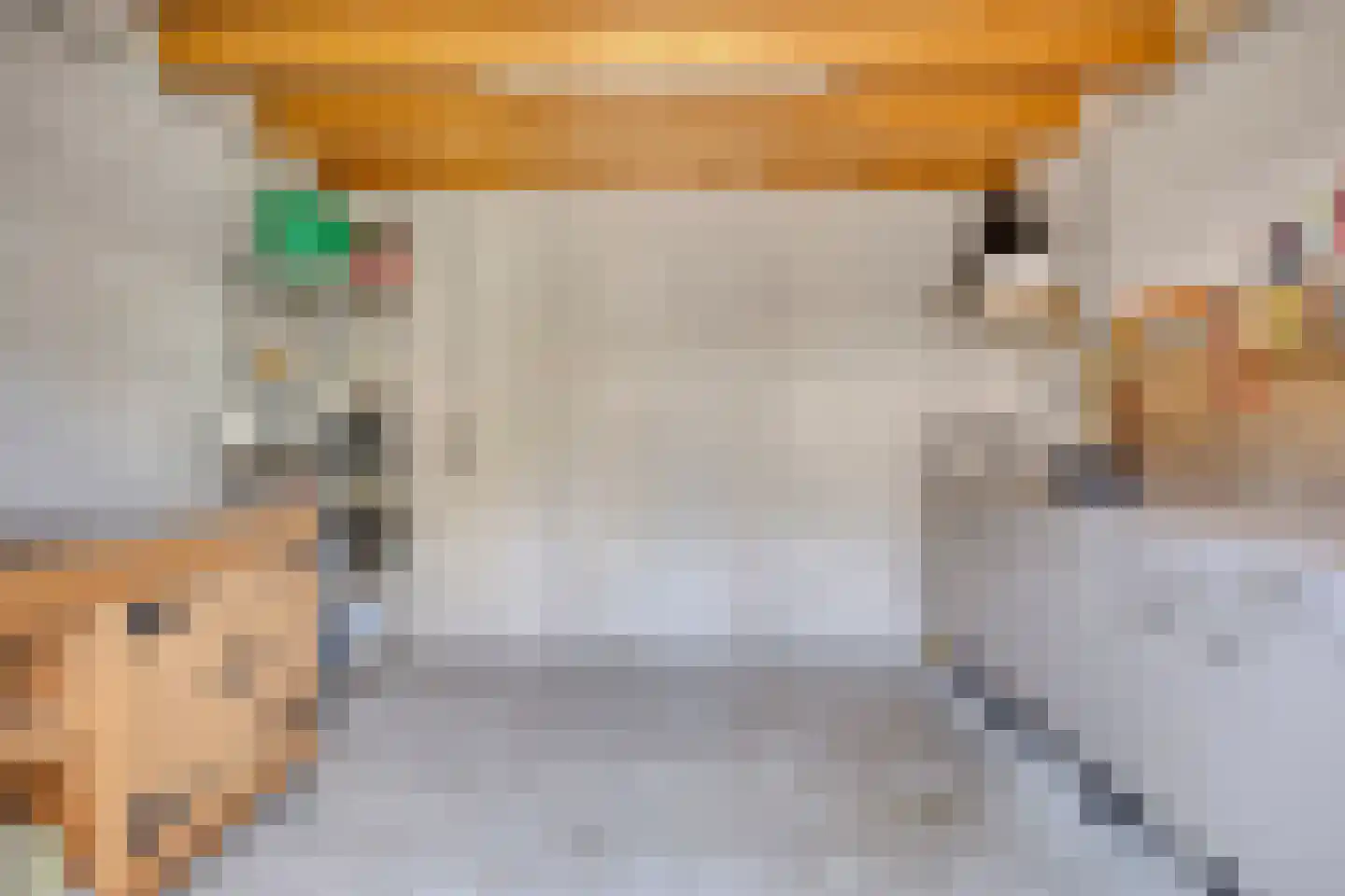 Houtstraat 9 Losser thumbnail 28