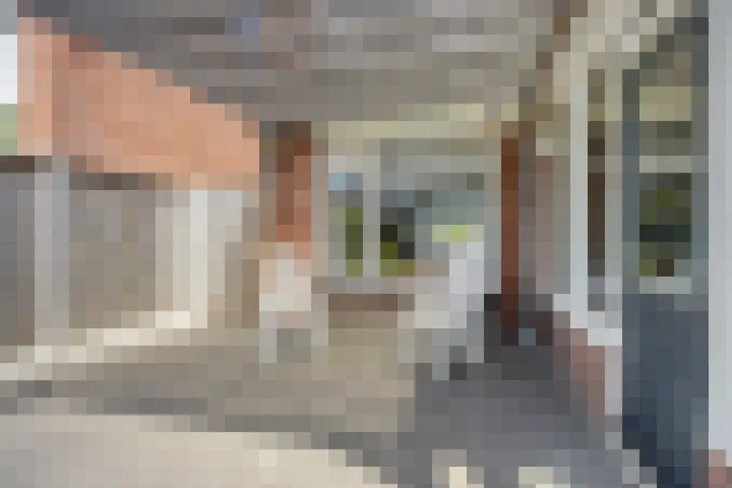 Houtstraat 9 Losser thumbnail 30