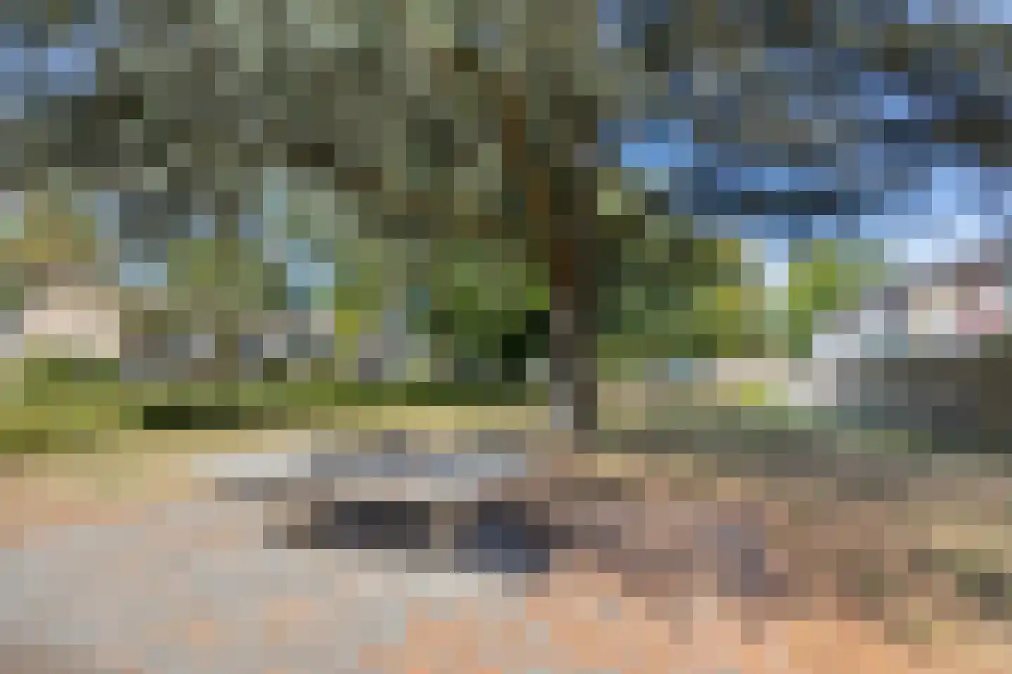 Houtstraat 9 Losser thumbnail 34