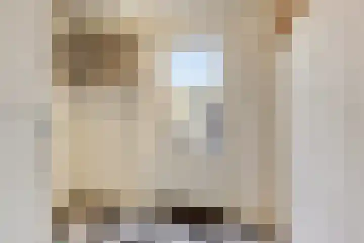 Houtstraat 9 Oss thumbnail 10