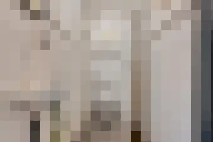 Houtstraat 9 Oss thumbnail 11