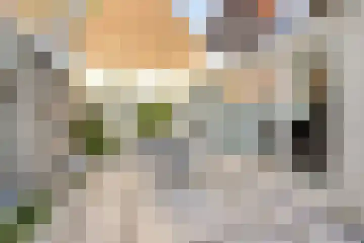 Houtstraat 9 Oss thumbnail 23