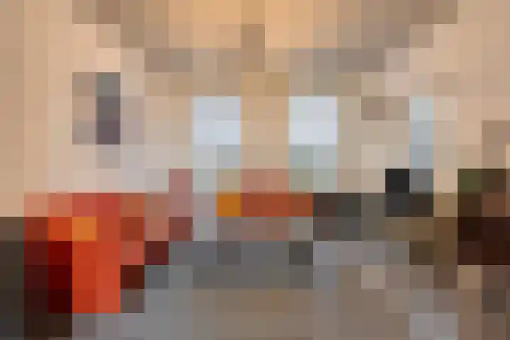 Houtstraat 9 Oss thumbnail 4