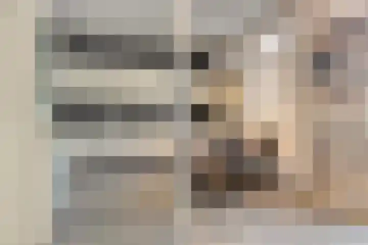 Houtstraat 9 Oss thumbnail 6