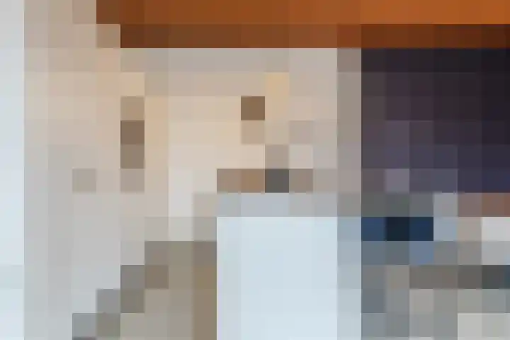 Houttil 1 C Alkmaar thumbnail 16