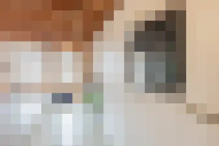 Houttil 1 C Alkmaar thumbnail 18