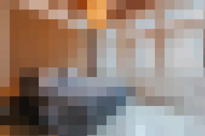 Houttil 1 C Alkmaar thumbnail 22