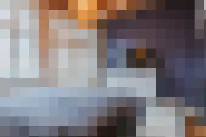 Houttil 1 C Alkmaar thumbnail 23