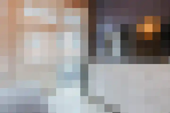 Houttil 1 C Alkmaar thumbnail 26