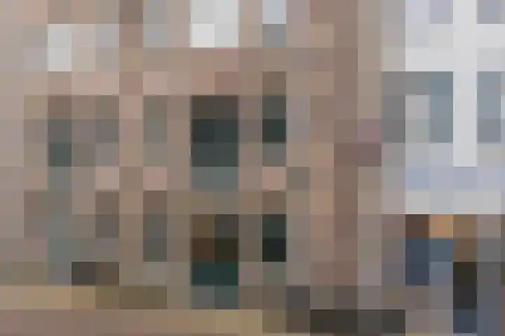 Houttil 1 C Alkmaar thumbnail 33