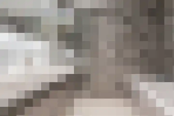 Houttil 1 C Alkmaar thumbnail 4