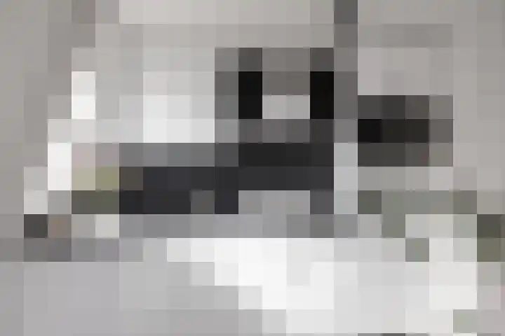 Houttil 60 A Alkmaar thumbnail 10