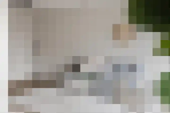 Houttil 60 A Alkmaar thumbnail 13