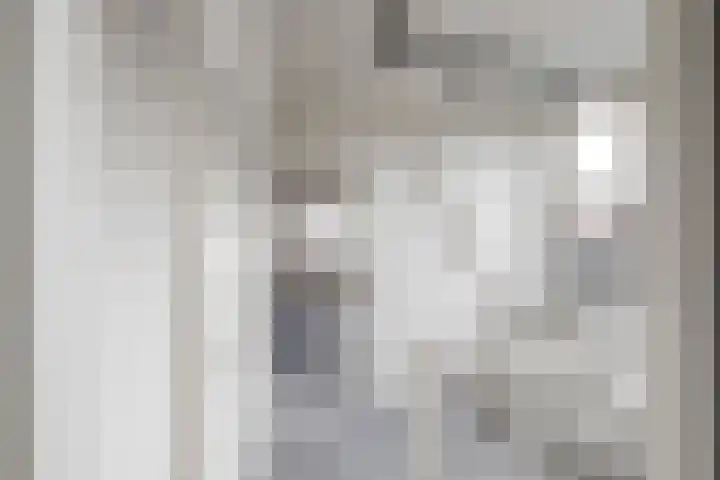 Houttil 60 A Alkmaar thumbnail 25