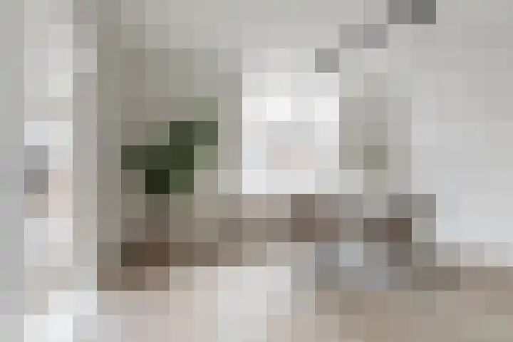 Houttil 60 A Alkmaar thumbnail 7