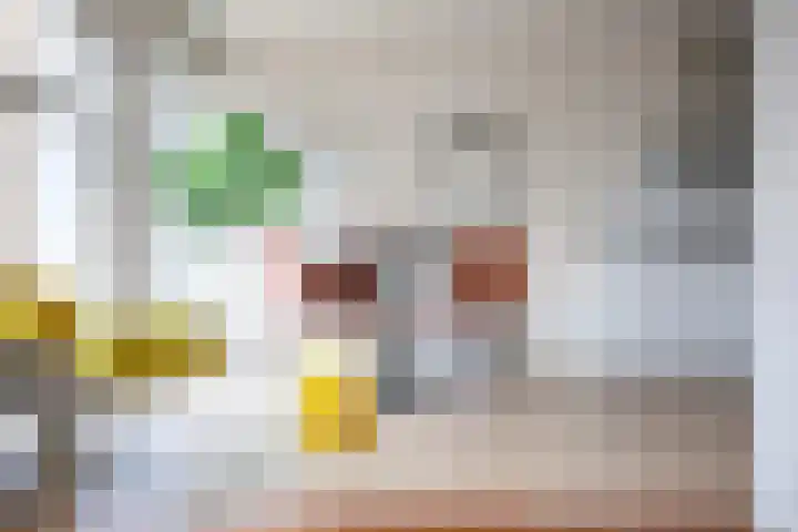 Houttil 60 Alkmaar thumbnail 17