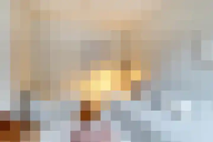 Houttil 60 Alkmaar thumbnail 24