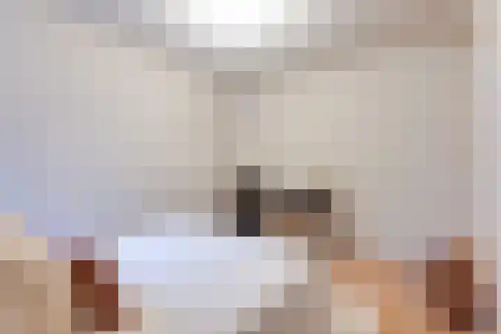 Houttil 60 Alkmaar thumbnail 27