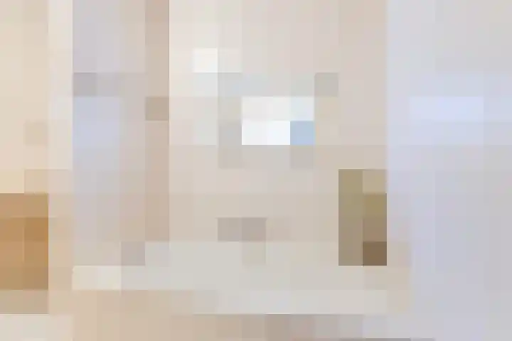 Houttil 60 Alkmaar thumbnail 37