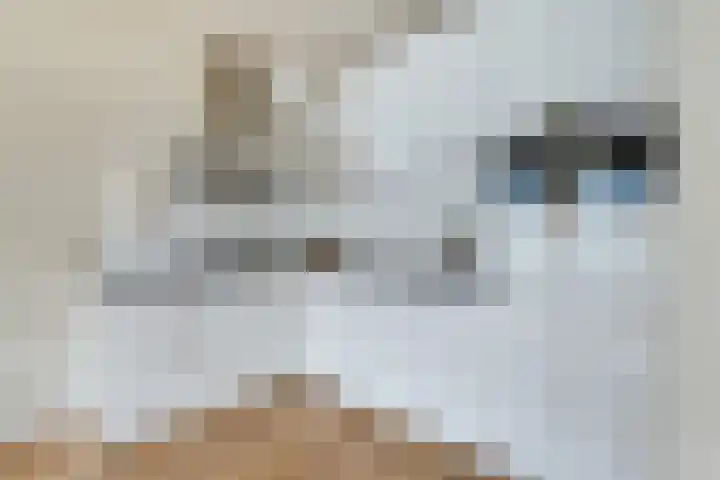 Houttil 60 Alkmaar thumbnail 4