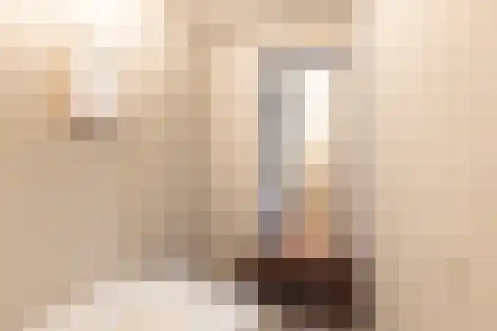 Houttil 60 Alkmaar thumbnail 42