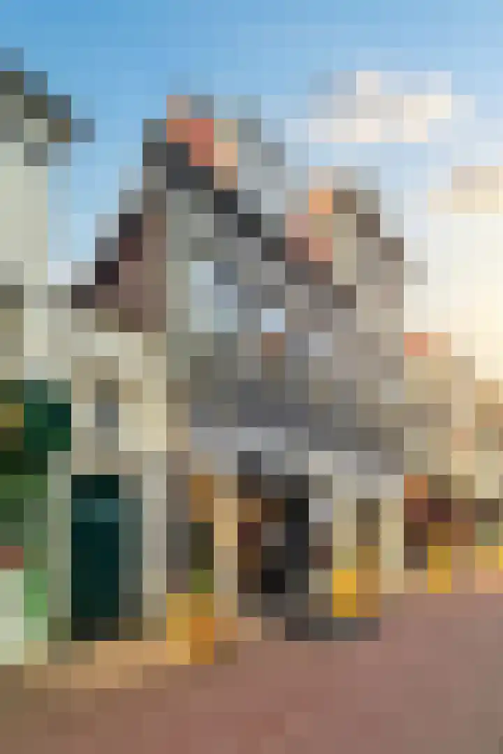 Houttil 60 Alkmaar thumbnail 43