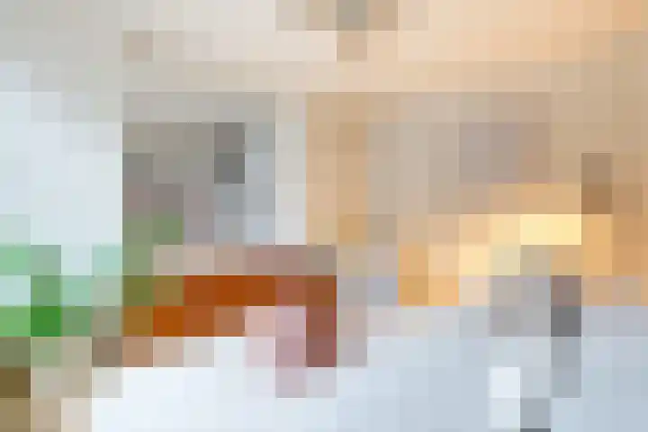 Houttil 60 Alkmaar thumbnail 5