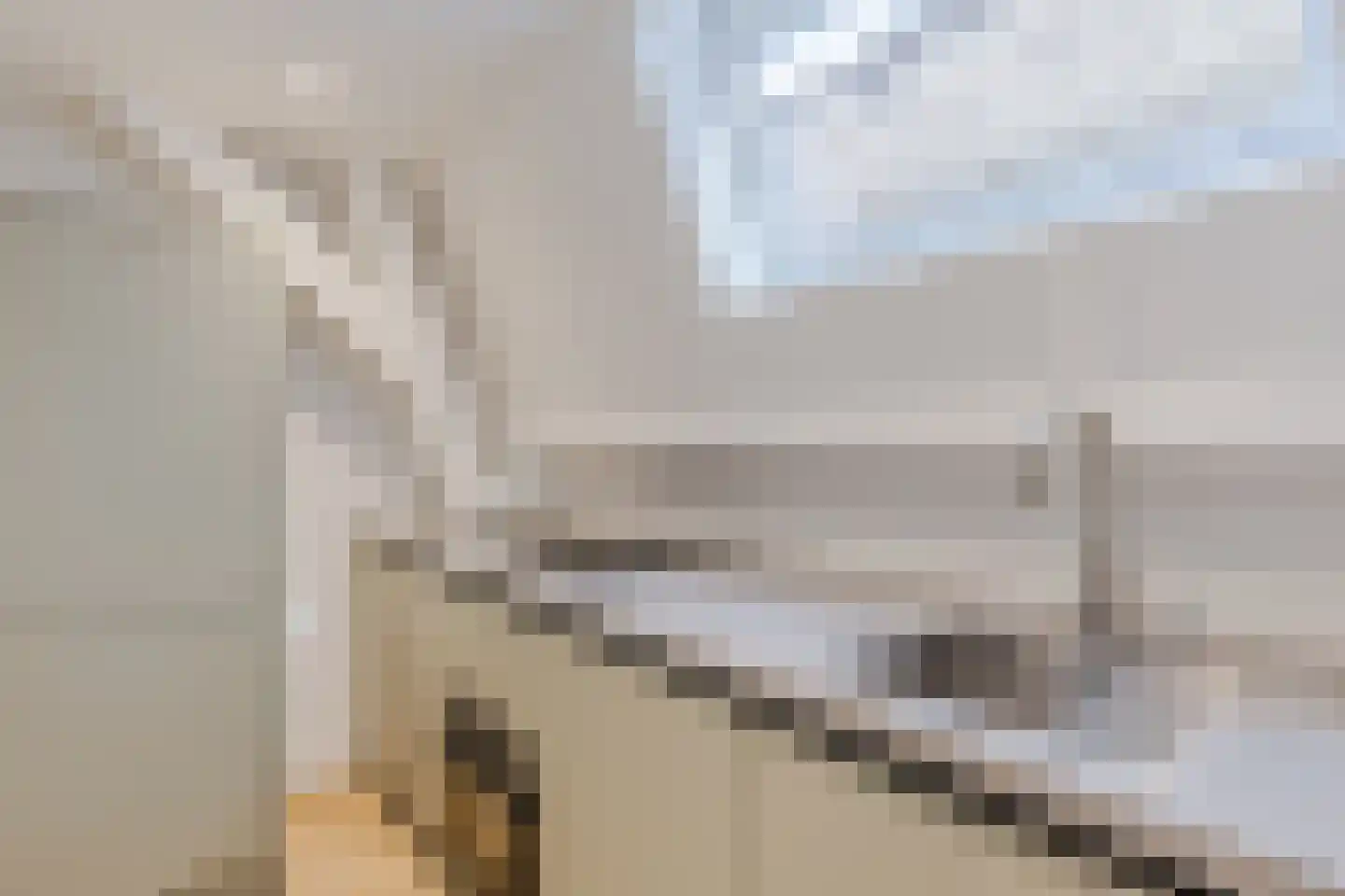 Houttil 8 A Alkmaar thumbnail 10