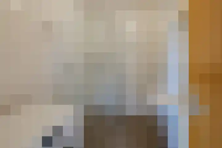 Houttuin 21 Hillegom thumbnail 16