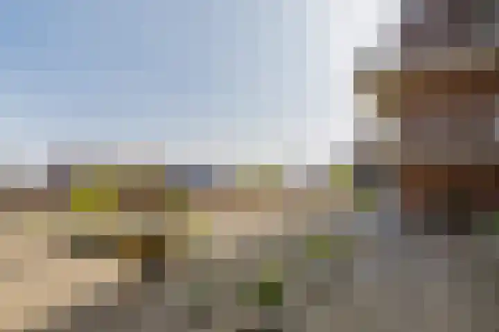 Houttuin 21 Hillegom thumbnail 20