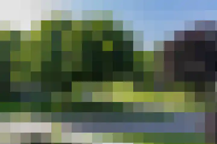 Houttuin 21 Hillegom thumbnail 21