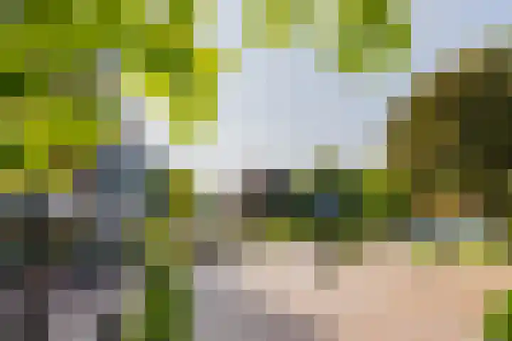 Houttuin 21 Hillegom thumbnail 22